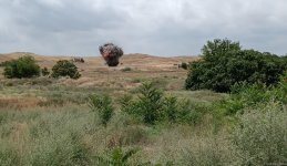 Global travelers observe demining process in Azerbaijan's Fuzuli (PHOTO/VIDEO)