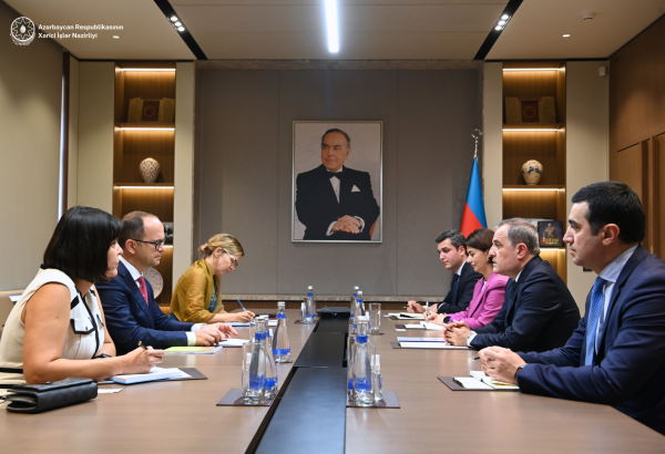 Azerbaijani FM holds talks with OSCE observation mission representative (PHOTO)