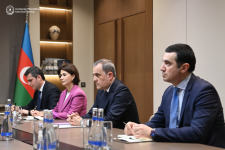 Azerbaijani FM holds talks with OSCE observation mission representative (PHOTO)
