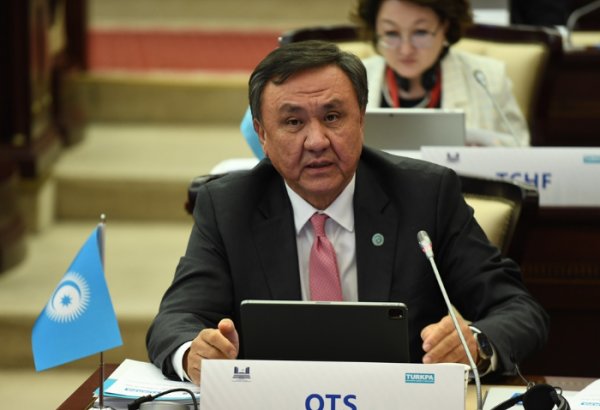 COP29 presents promising opportunities for OTS - secretary general