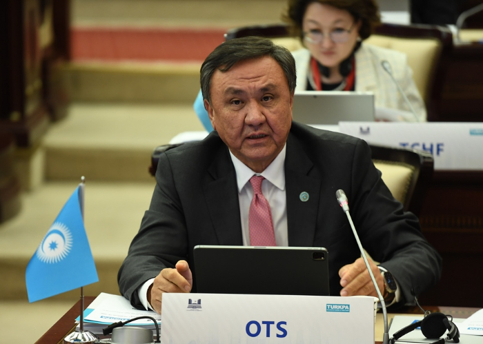 COP29 presents promising opportunities for OTS - secretary general