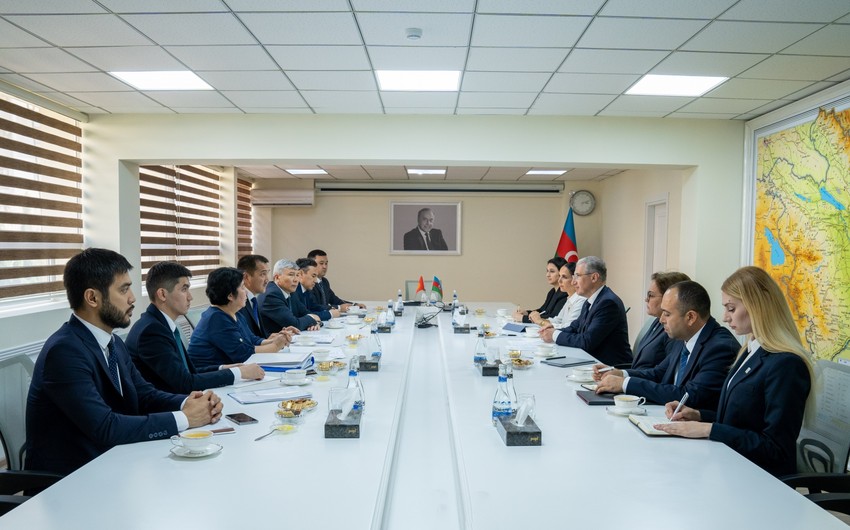 Azerbaijan, Kyrgyzstan discuss preparations for COP29