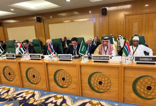 Azerbaijan’s deputy FM takes part in OIC Executive Committee meeting