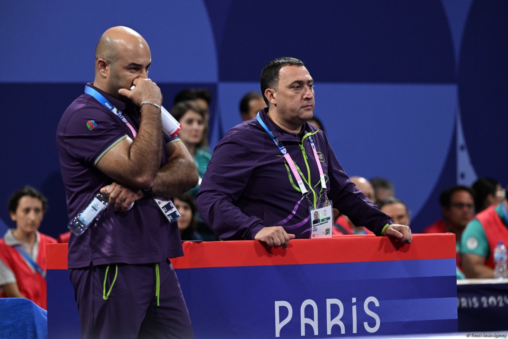 Azerbaijani taekwondoist wins silver medal at Olympic Games (PHOTO)