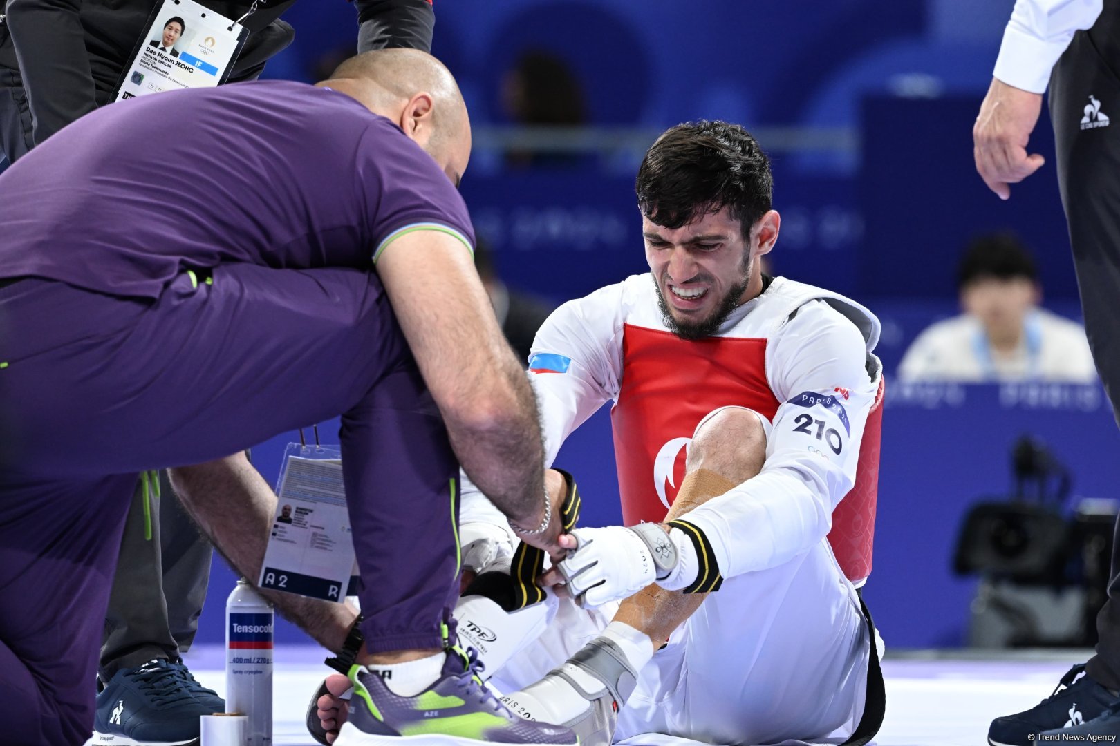 Azerbaijani taekwondoist wins silver medal at Olympic Games (PHOTO)