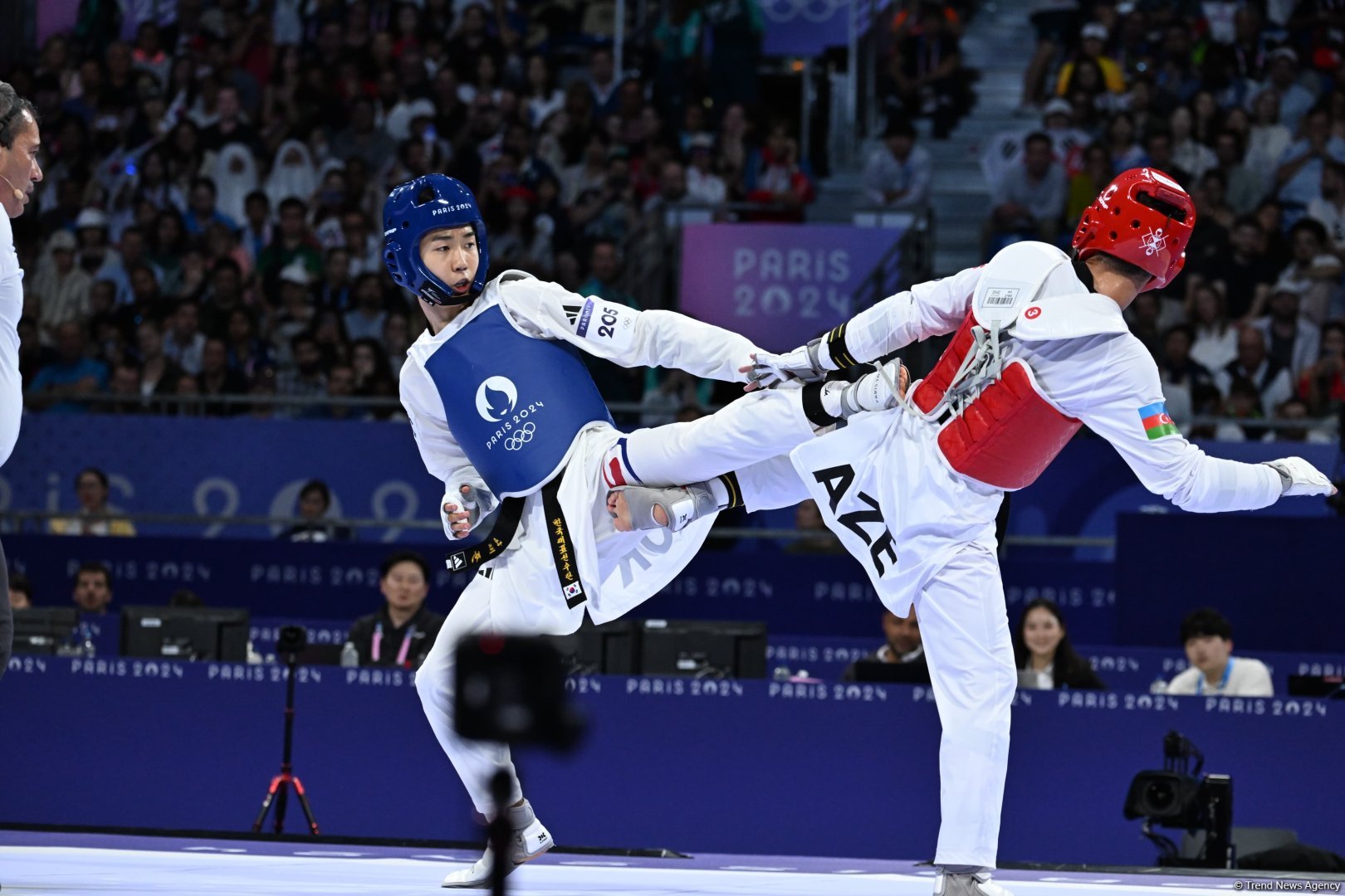 Azerbaijani taekwondoist wins silver medal at Olympic Games (PHOTO)