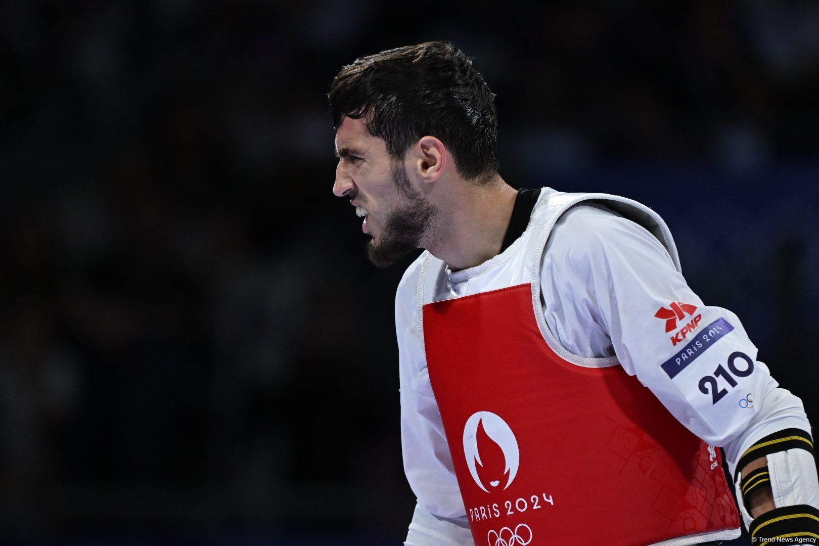 Azerbaijani taekwondoist wins silver medal at Olympic Games (PHOTO)