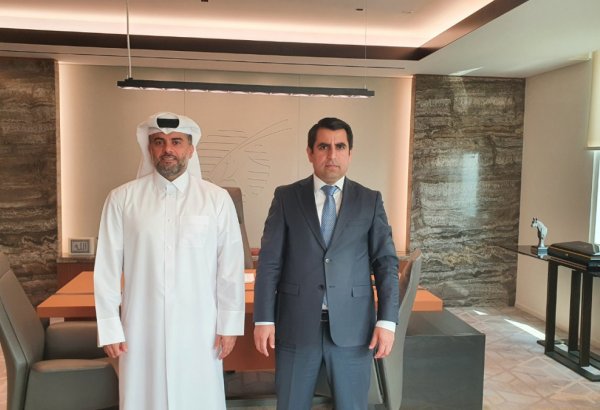 Tajikistan, Qatar discuss launching direct air service