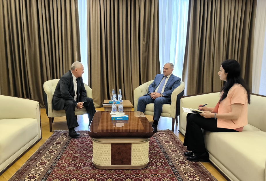 New Azerbaijan Party's central office hosts meeting with CIS observation mission head