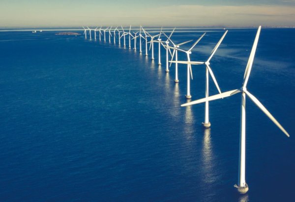 Global offshore wind industry set to rebound in 2025, Rystad Energy says