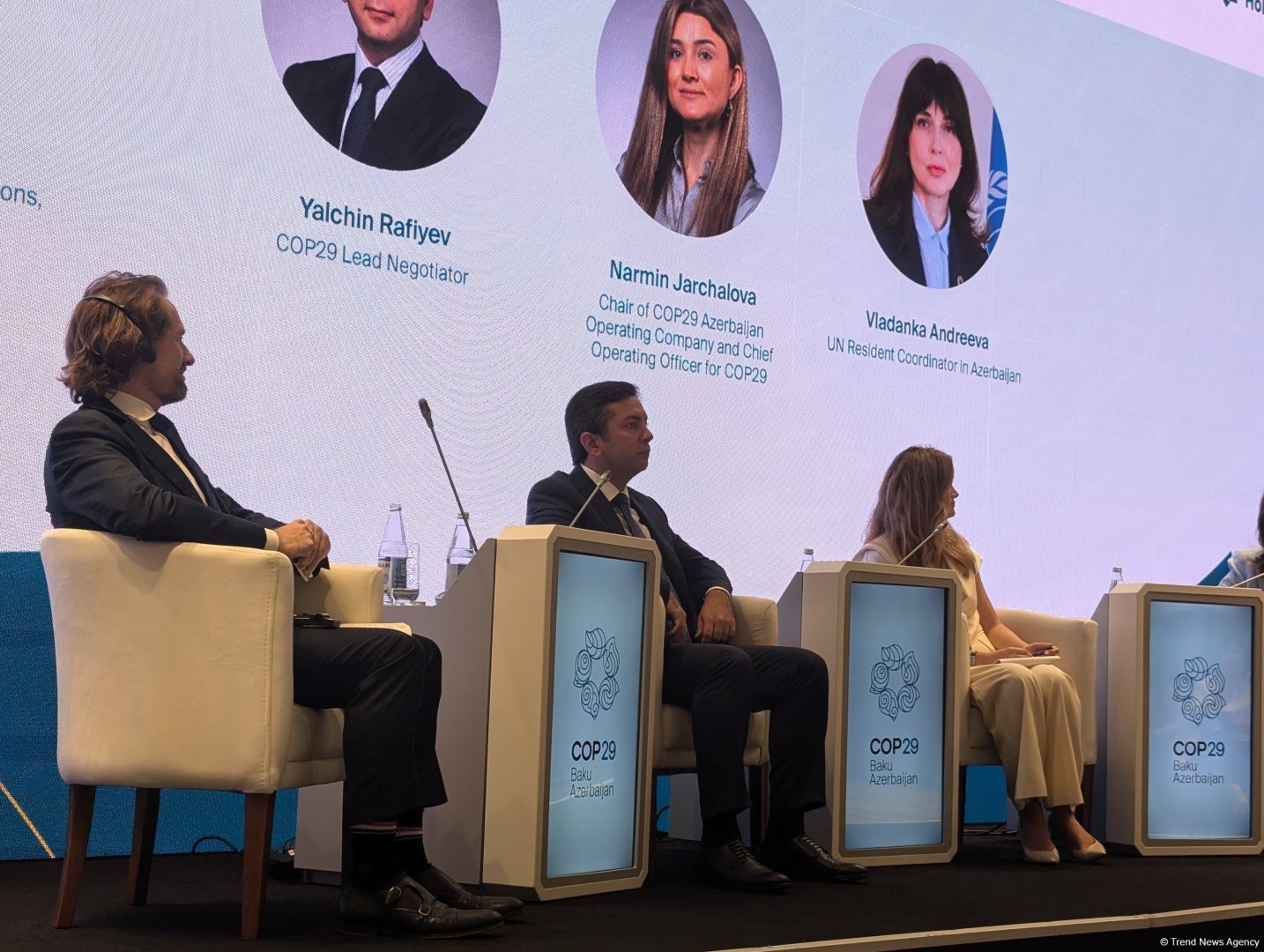COP emerges as one of most inclusive events within UN - Azerbaijani lead negotiator