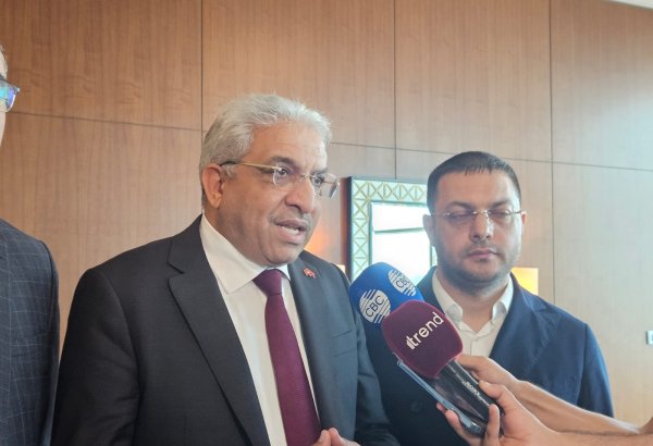 Negative incidents steer clear of Azerbaijan's parliamentary elections - official