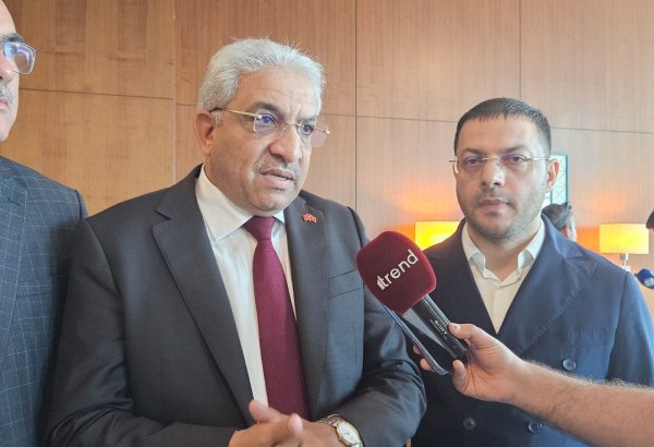 Organization of voting process constitutes success of Azerbaijan's polls - Morrocan MP