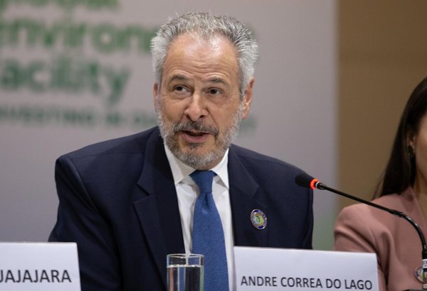 Baku Climate Transparency Platform meets needs of developing nations - Brazilian official