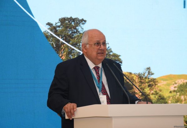 Addressing global warming issue requires urgent action - Nizami Ganjavi Center's сo-сhair