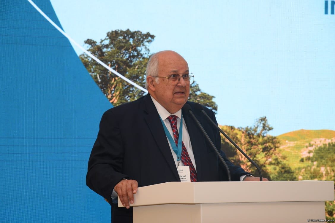 Addressing global warming issue requires urgent action - Nizami Ganjavi Center's сo-сhair