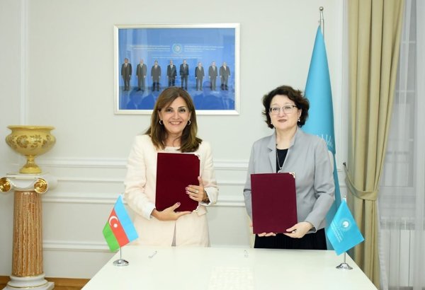 Turkic Culture & Heritage Foundation to support Azerbaijan's Gochahmadli mosque renovation