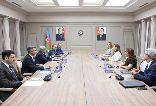 Azerbaijani PM, IFC delegation parley joint work within COP29