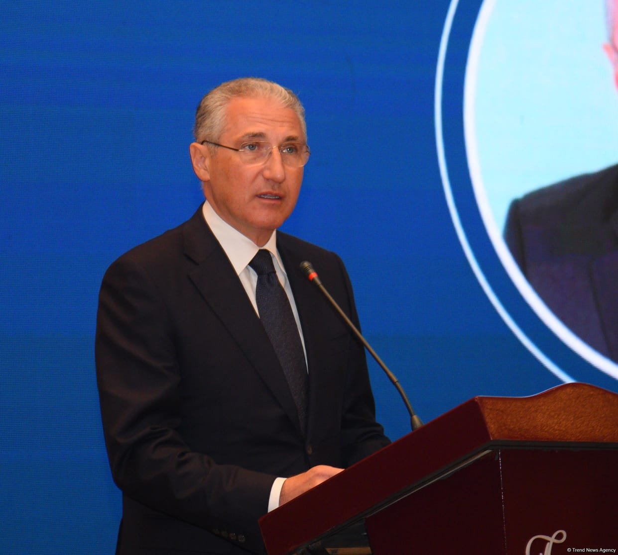 Azerbaijan on way of developing fresh climate strategy - COP29 president