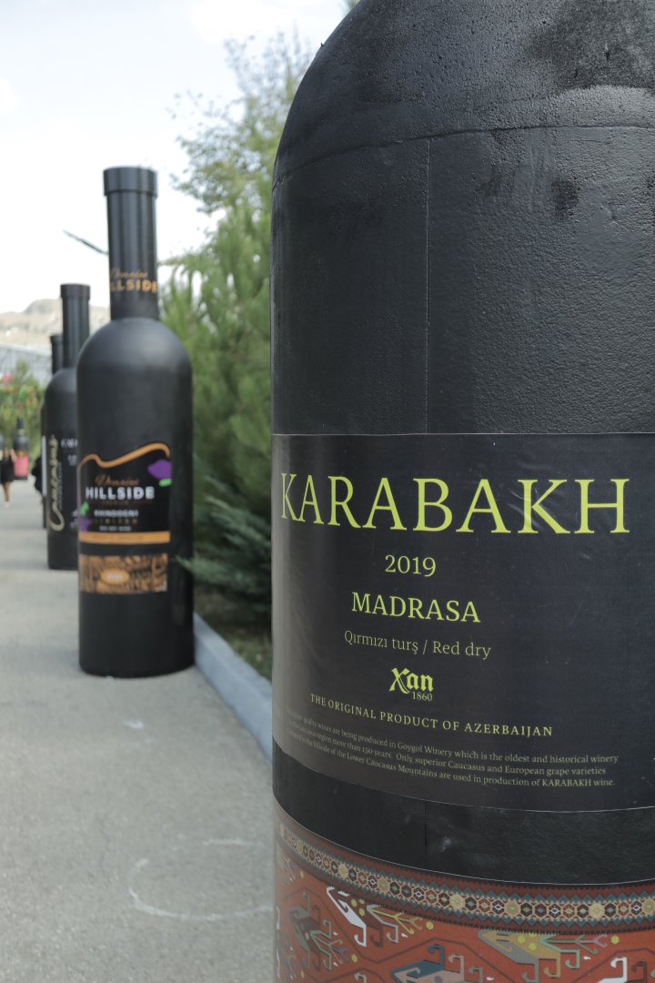 Grape and Wine Festival underway in Azerbaijan's Shamakhi (PHOTO/VIDEO)