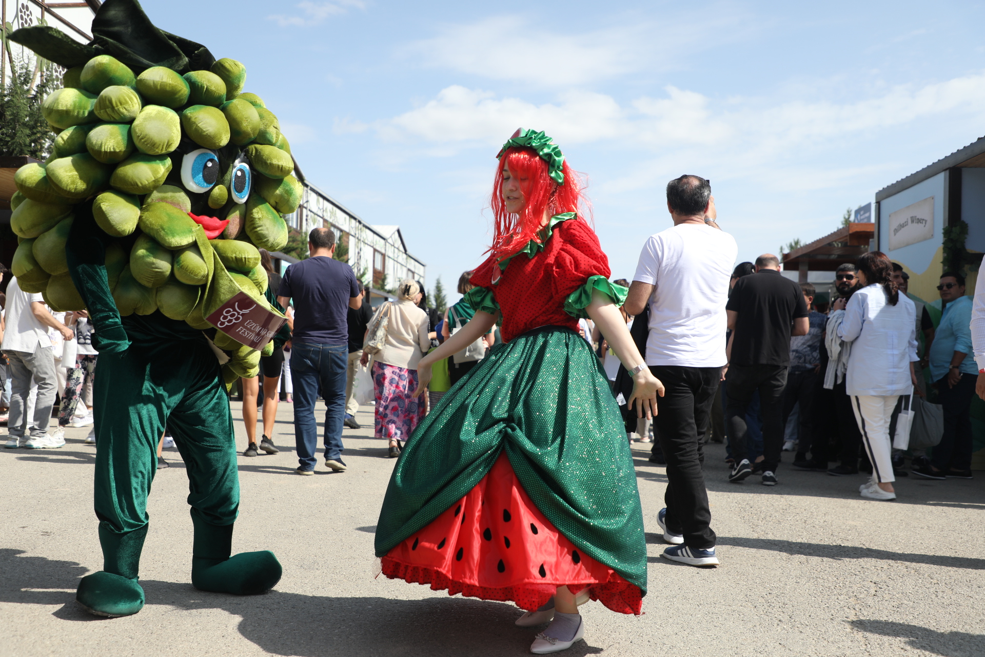 Grape and Wine Festival in Azerbaijan's Shamakhi wraps up (PHOTO/VIDEO)