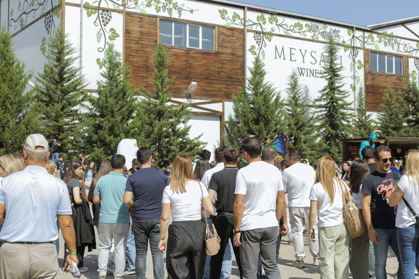 Grape and Wine Festival in Azerbaijan's Shamakhi wraps up (PHOTO/VIDEO)