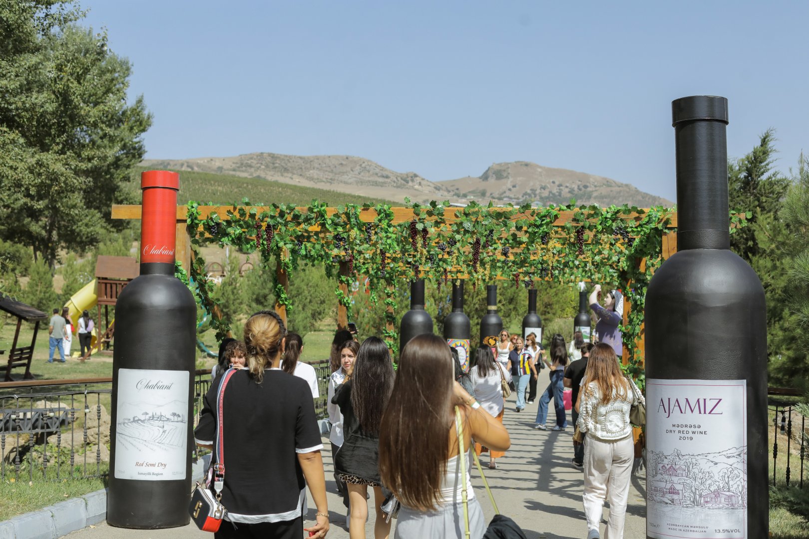 Grape and Wine Festival in Azerbaijan's Shamakhi wraps up (PHOTO/VIDEO)