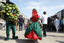 Grape and Wine Festival in Azerbaijan's Shamakhi wraps up (PHOTO/VIDEO)