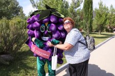 Grape and Wine Festival in Azerbaijan's Shamakhi wraps up (PHOTO/VIDEO)