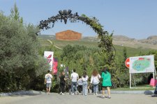 Grape and Wine Festival in Azerbaijan's Shamakhi wraps up (PHOTO/VIDEO)