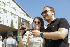 Grape and Wine Festival in Azerbaijan's Shamakhi wraps up (PHOTO/VIDEO)