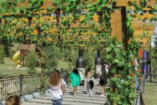Grape and Wine Festival in Azerbaijan's Shamakhi wraps up (PHOTO/VIDEO)