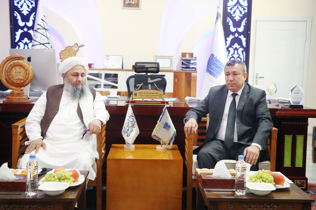 Turkmenistan, Afghanistan push forward on fiber-optic connectivity