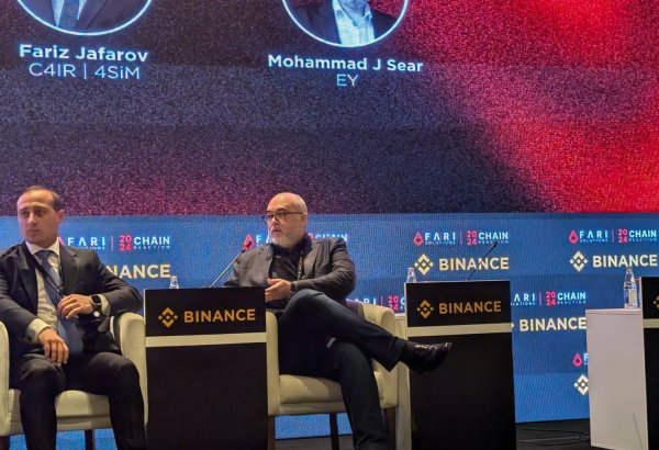 Chain Reaction Forum 2024: EY expert reveals two digital business categories