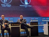 Azerbaijan's Baku hosts Chain Reaction 2024 forum kickoff (PHOTO)