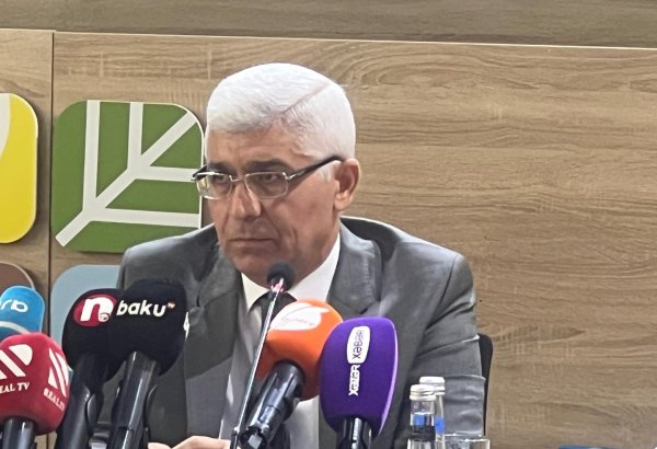 Azerbaijan develops ad hoc waste action strategy for nation's liberated territories