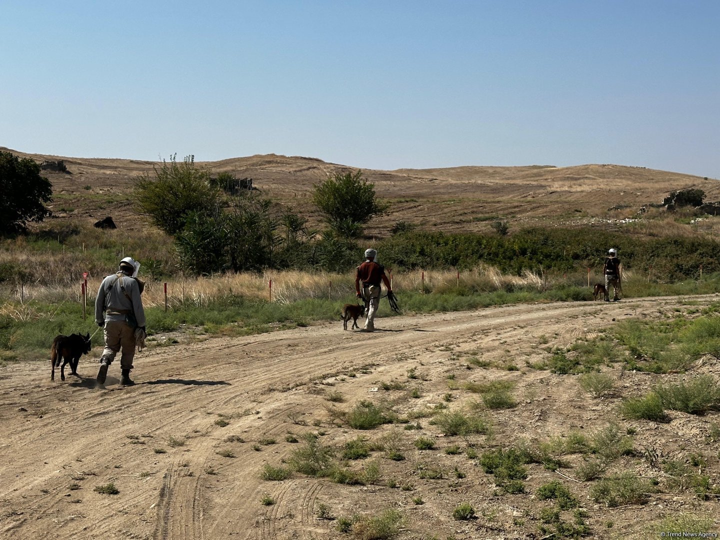 Hefty chunk of Horadiz village cleared of mines - ANAMA (PHOTO)