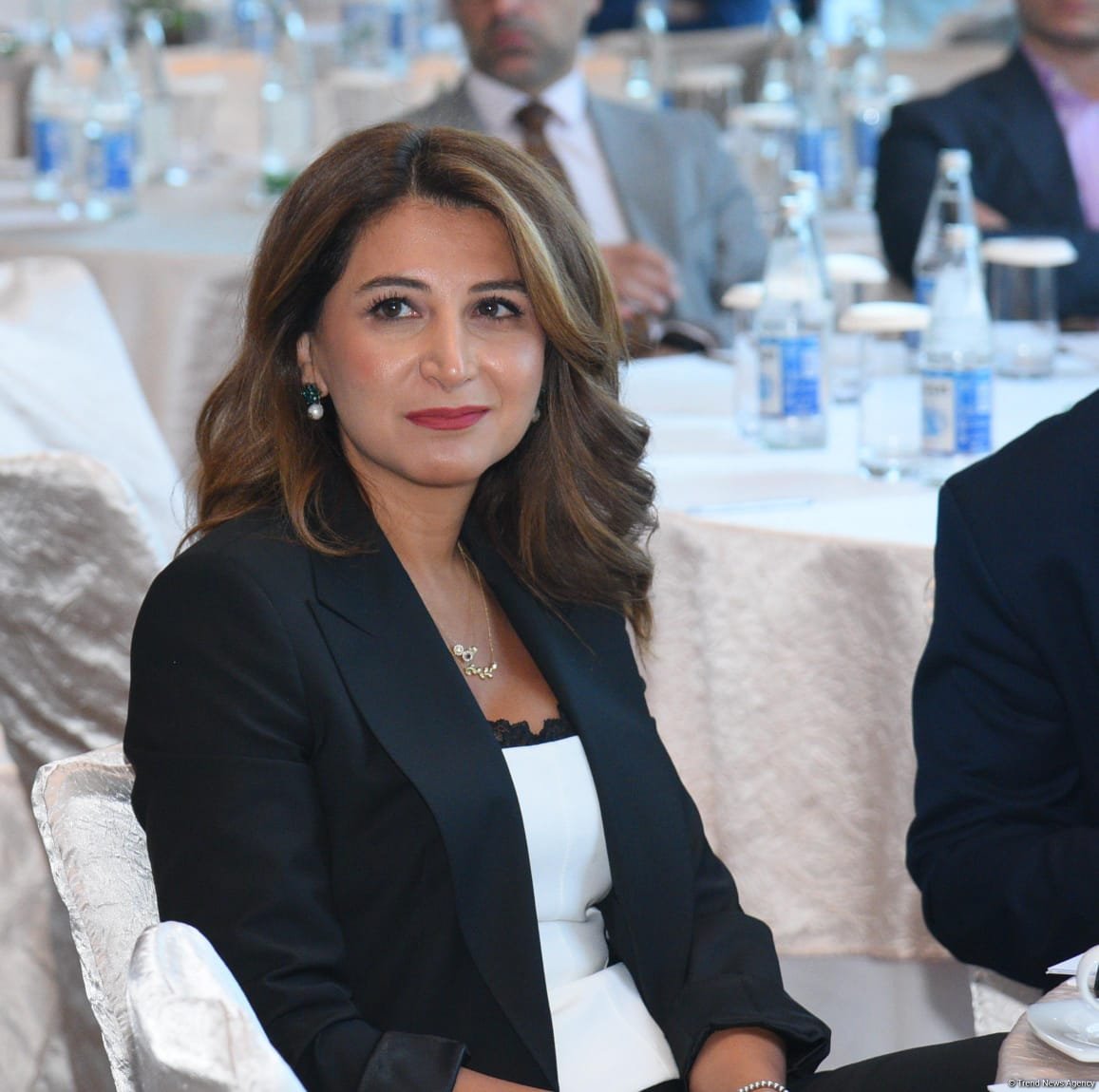 International Sustainable Development, Climate Innovation Forum opens in Azerbaijan (PHOTO)