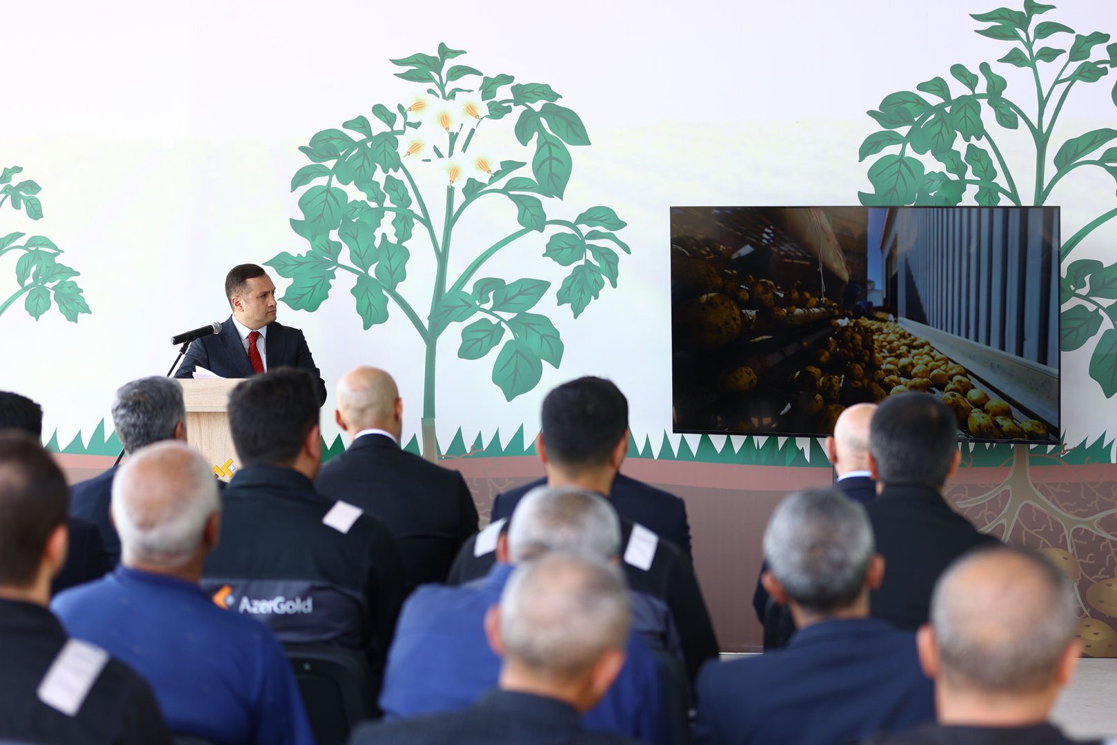 Support for dev't of potato farming in Dashkasan project of AzerGold CJSC finished successfully (PHOTO/VIDEO)