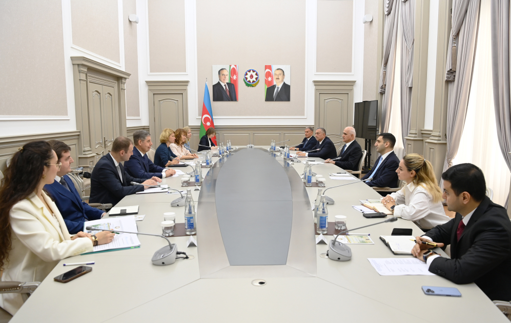 Azerbaijani deputy PM holds meeting with Russian agriculture minister (PHOTO)