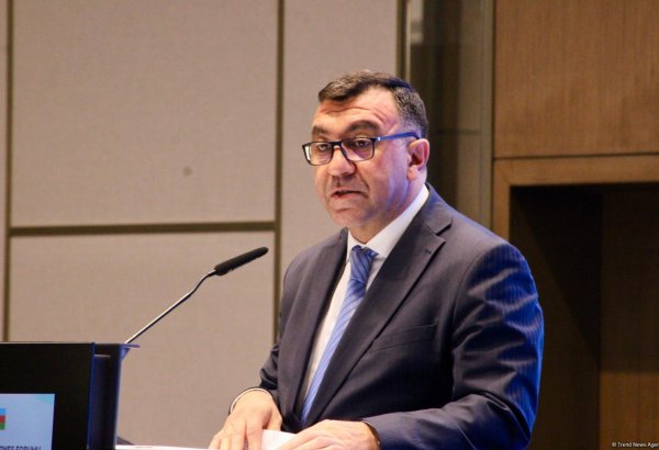 Azerbaijan's strategic foreign exchange reserves multiply - deputy minister