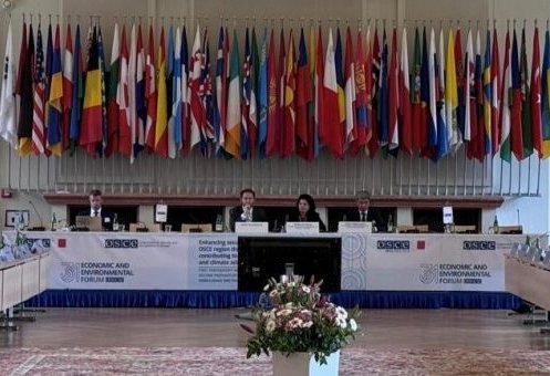 Turkmen delegation highlights regional importance of TAPI at OSCE forum