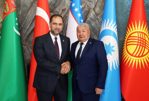 Kyrgyzstan counts number of energy projects handled by Turkish companies