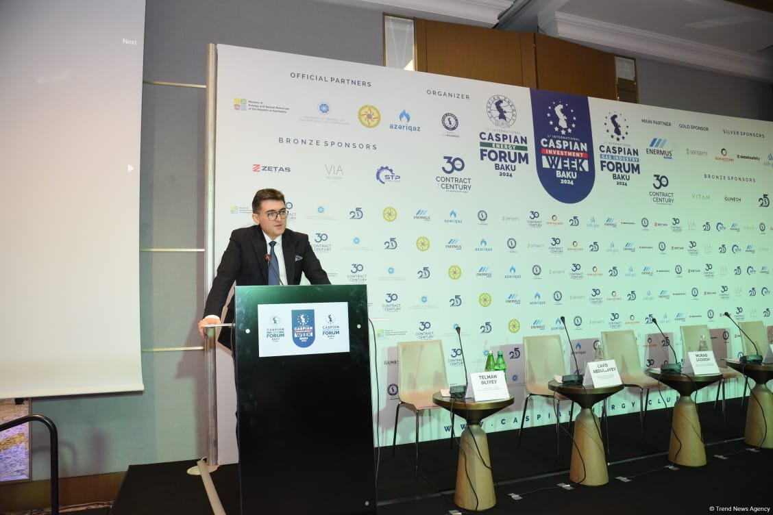 Azerbaijan's Baku hosts 12th International Caspian Energy Forum (PHOTO)