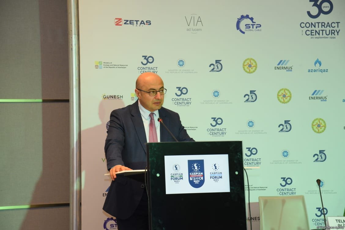 Azerbaijan's Baku hosts 12th International Caspian Energy Forum (PHOTO)