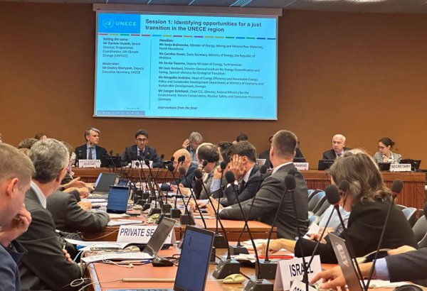 Turkmenistan aspires to achieve sustainable energy and efficient resource utilization