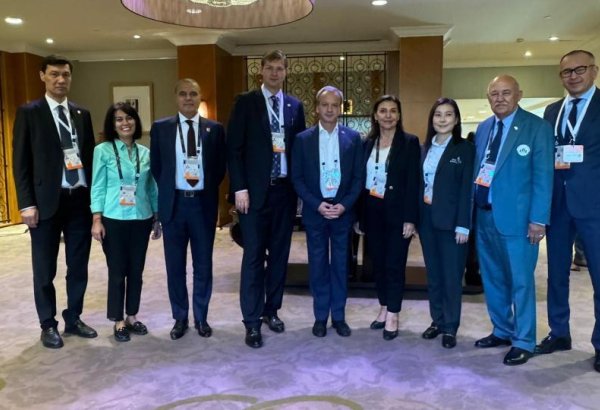 Chess association of Turkic-speaking countries to adorn terrestrial globe soon