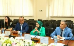 Azerbaijan negotiates cooperation with UNICEF (PHOTO)