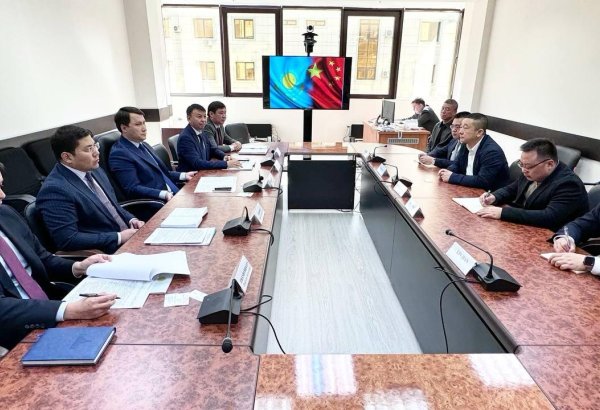 Chinese CITIC Construction plans to build plant for wheat processing in Kazakhstan