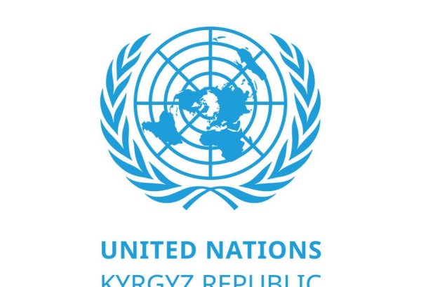 Adaptation plans to assist Central Asian countries to develop joint position at COP29 - UN